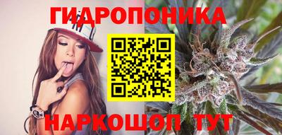 прущие грибы Моздок